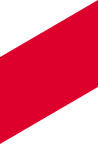 https://www.saloni-decore.com/wp-content/uploads/2020/11/img-red-skew.png